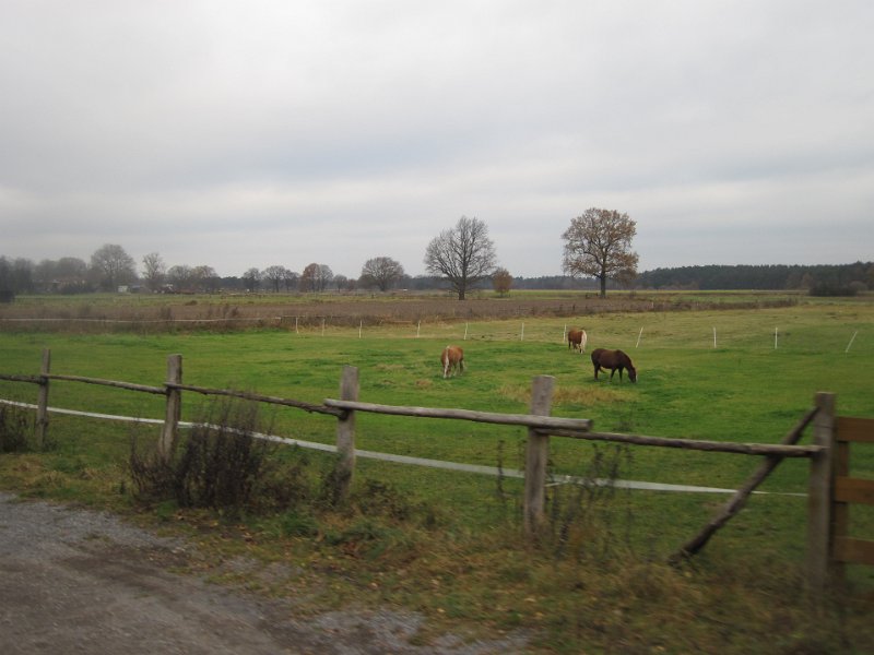 CTF Celle 013